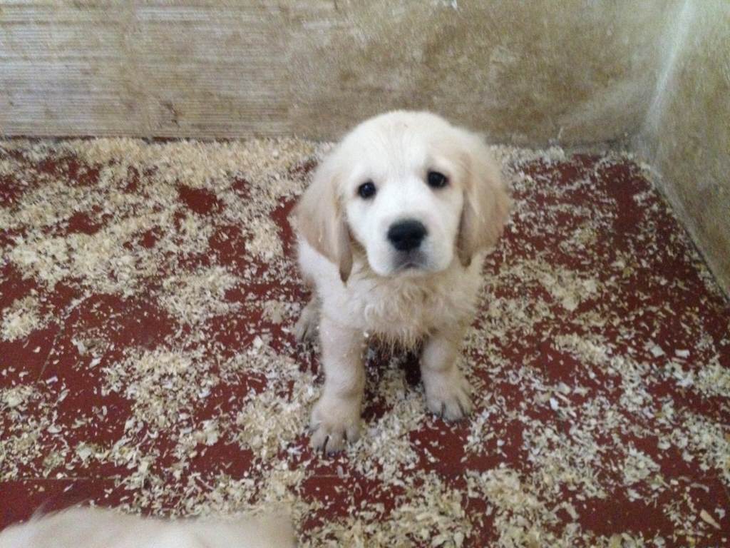 2015-07-11 09.41.06_1