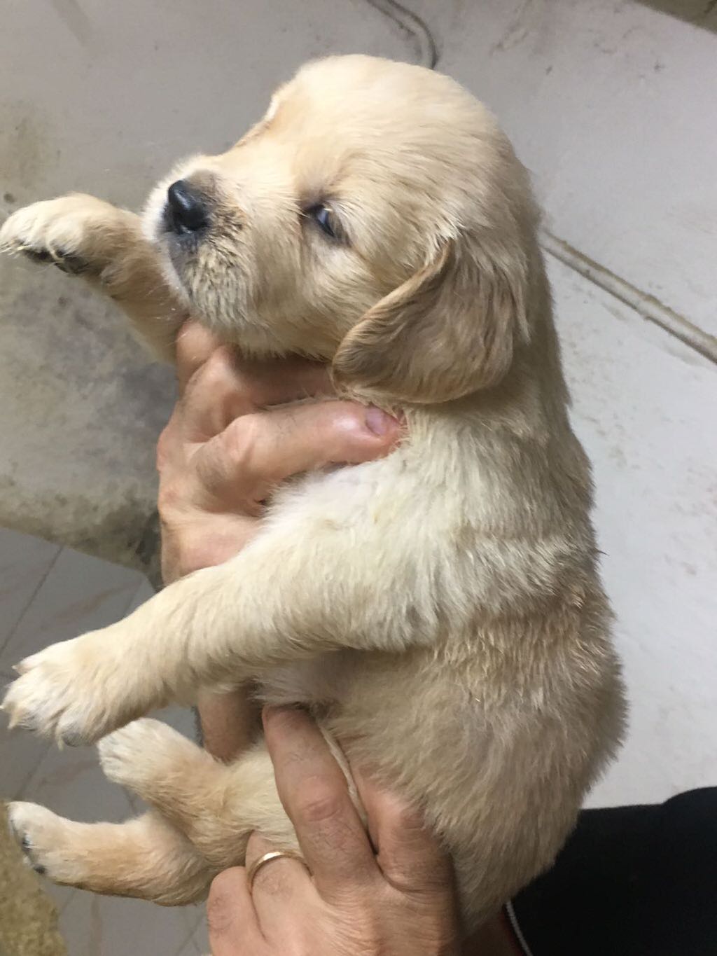 2017-06-30-PHOTO-00000008_1