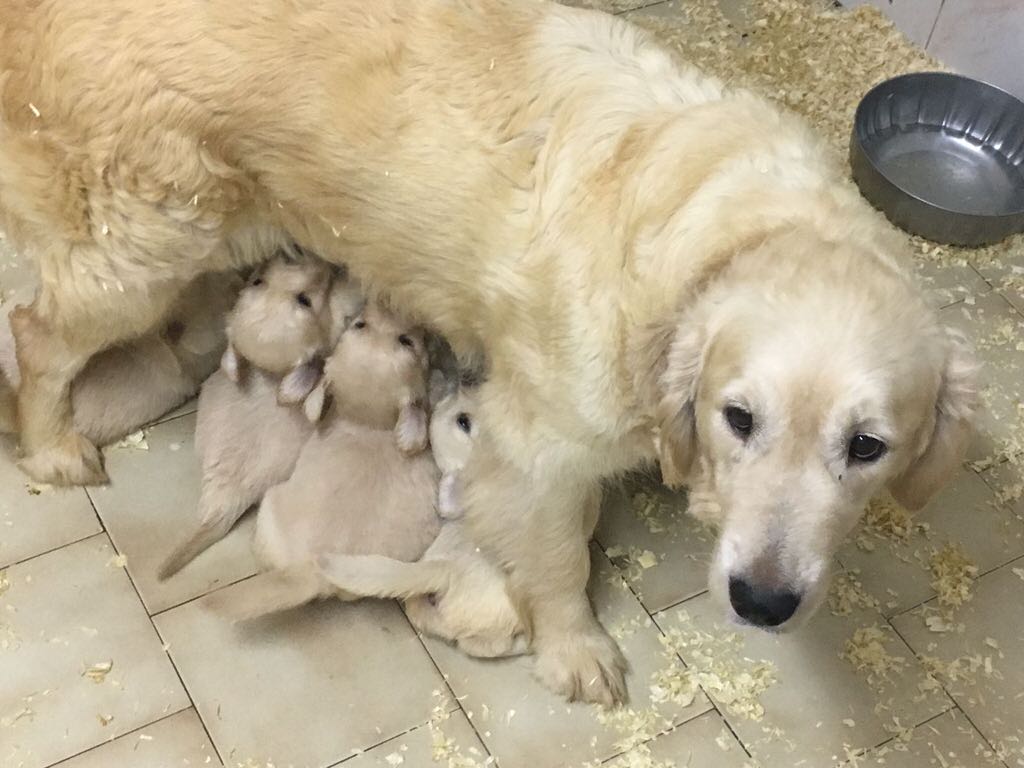 2017-06-30-PHOTO-00000011_1