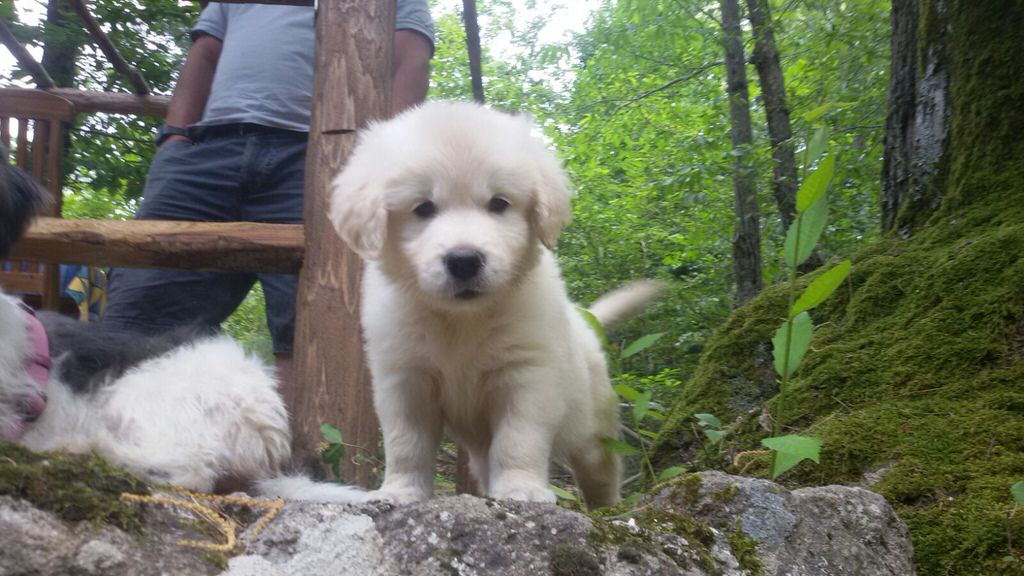 IMG-20160727-WA0006_1