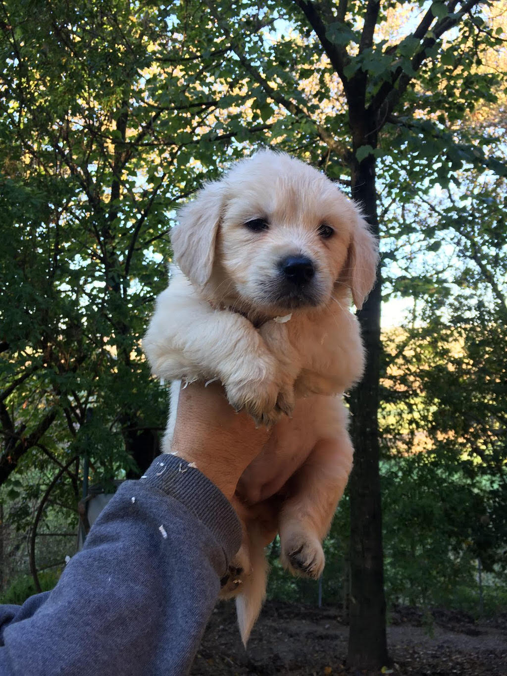 Talia antica Etruria 1_1